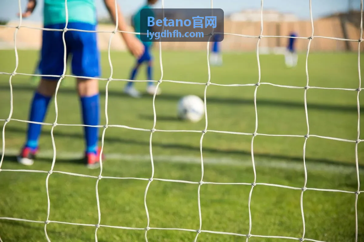 Betano金融风控